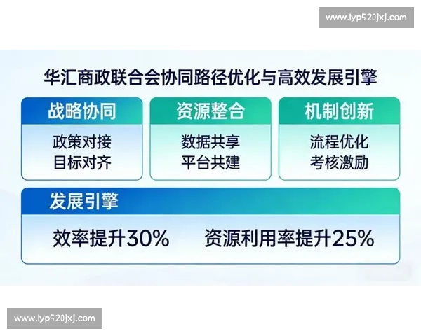 以整体系统协同运作为核心推动高效发展模式的探索与实践