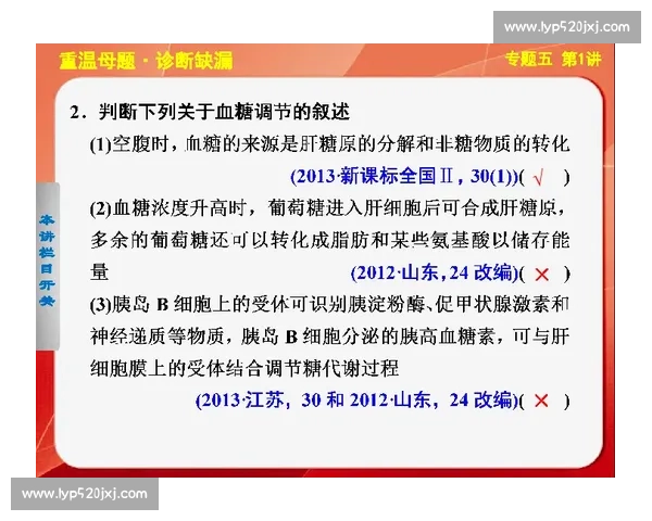 提升运动效率的科学方法与策略全面解析